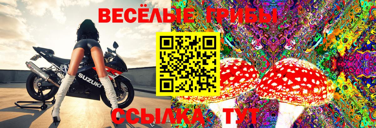 Галлюциногенные грибы Psilocybine cubensis  Галлюциногенные грибы Cubensis  Сибай  Вход с VPN 