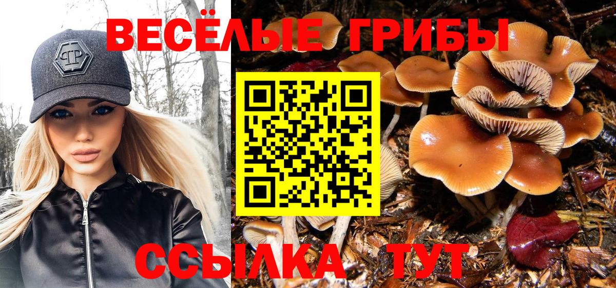 Псилоцибиновые грибы Cubensis Сибай